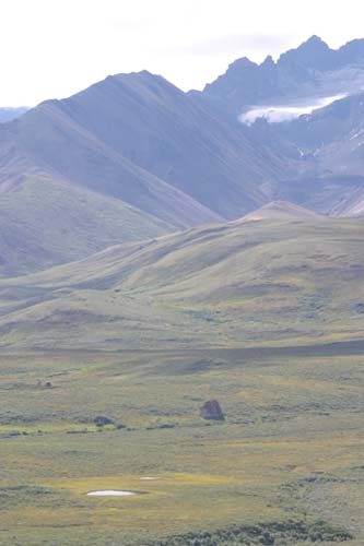 172-Denali National Park